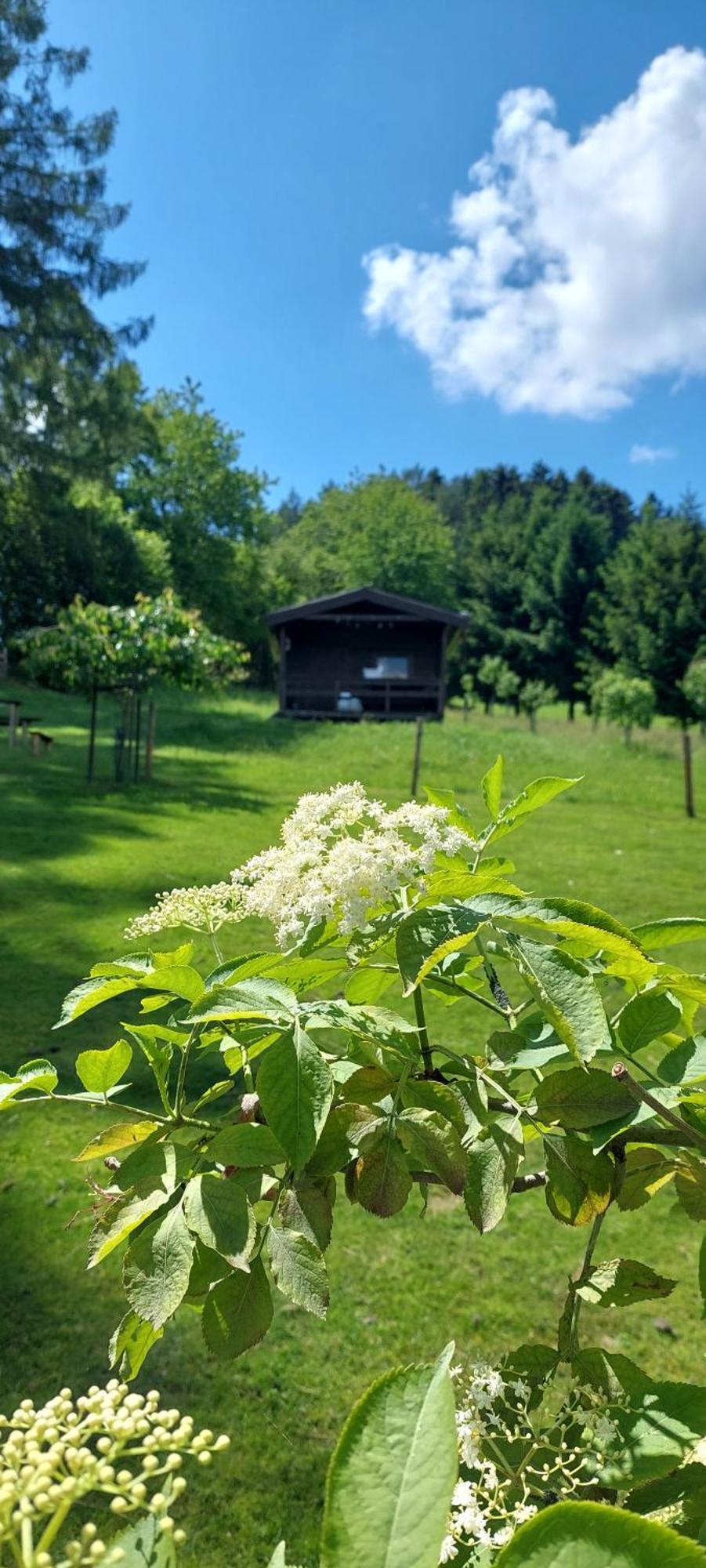 Chata Na Samote, Sumava Vrhavec Exterior foto
