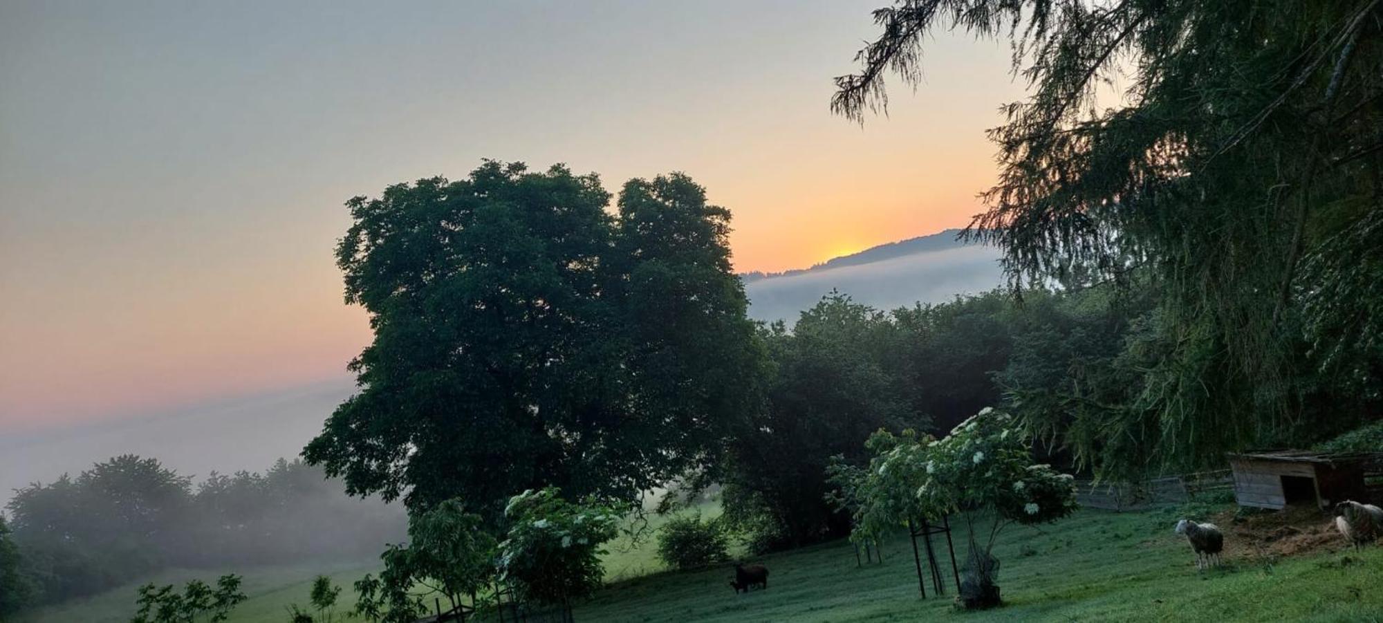 Chata Na Samote, Sumava Vrhavec Exterior foto