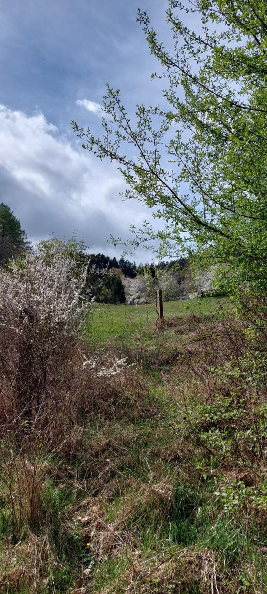 Chata Na Samote, Sumava Vrhavec Exterior foto
