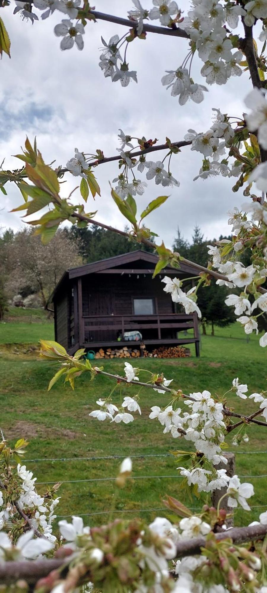 Chata Na Samote, Sumava Vrhavec Exterior foto