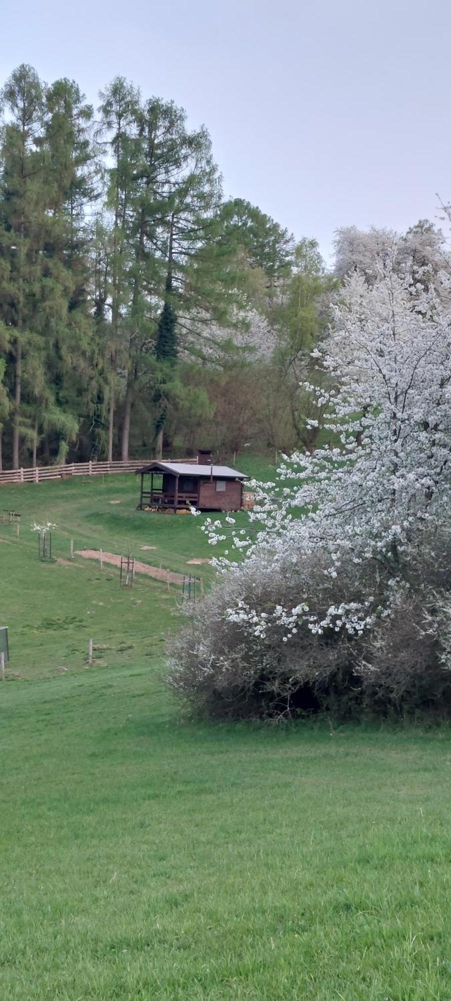 Chata Na Samote, Sumava Vrhavec Exterior foto